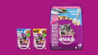 How Much Whiskas Kitten Food Should You Feed Your Feline Friend?