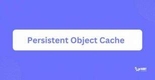 Persistent Object Cache: How It Can Improve Your Website Performance