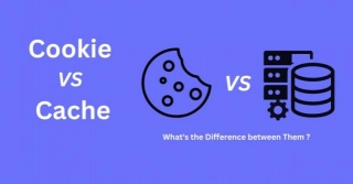 Cache Vs Cookies: Which One Impacts Your Browsing Experience More?