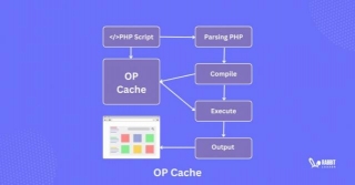 What Is Opcache? And What Are The Benefits Of Using Opcache For PHP Development?