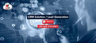 CRM Software Services: A Smart Solution For Business Growth