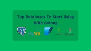 Top Databases To Start Using With Golang In 2024