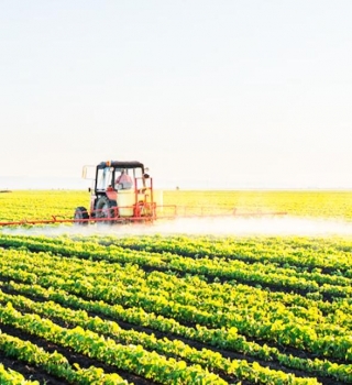 The Rise Of Agritech Industry In Asia