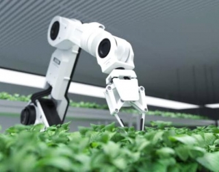 Key Players Company In Japan's Agritech Industry