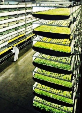 Key Players In Vertical Farming Companies