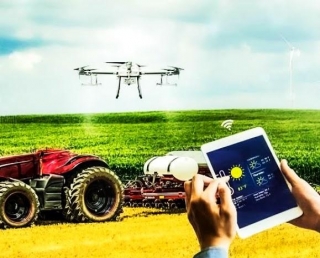 Kenya's Thriving Agritech Industry: A Boon For Farmers And The Economy