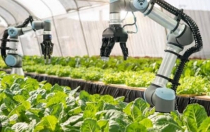 Agritech Innovations: Revolutionizing Agriculture