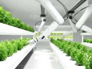 Key Players Company In China's Agricultural Robotics