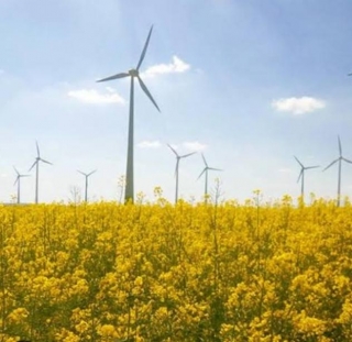A Journey Through Germany's Majestic Wind Farms