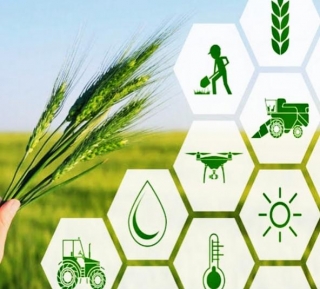 The Major Players Company In Agritech: Revolutionizing Agriculture