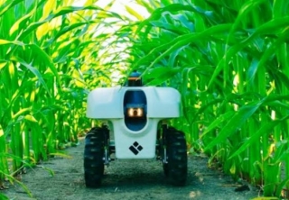 Singapore Sprouts Tech-Savvy Solutions: How Robotics Is Revolutionizing Agriculture