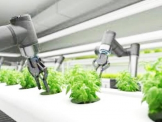 China Cultivates The Future: How Robotics Are Revolutionizing Agriculture