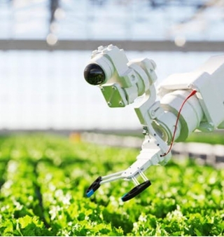 The Rise Of The Agritech Industry In India