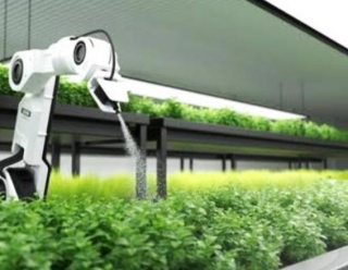 Pioneering Precision: Japan's Robotics Revolutionize Agriculture