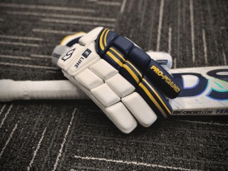 Cricket Gloves: A Complete Overview Of Batter And Wicket-keeper Gloves