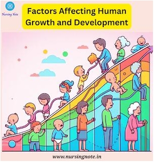Factors Affecting Human Growth And Development