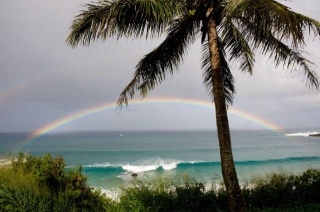 Discovering Paradise: North Shore Oahu Beaches