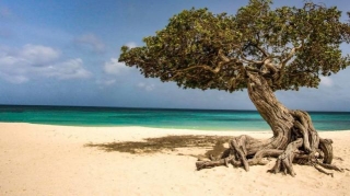 Discover The Best Beaches In Aruba: A Guide To Sun, Sand, And Seclusion