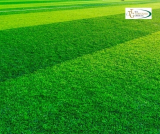 Finding The Right Grass Grower For Stadium