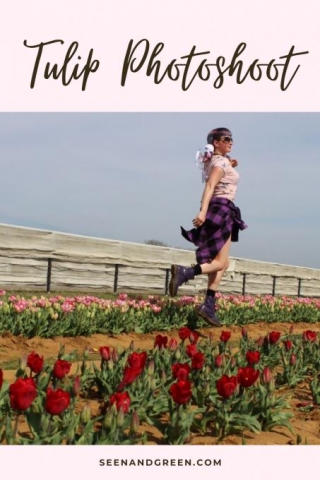 How To Plan A Tulip Photoshoot