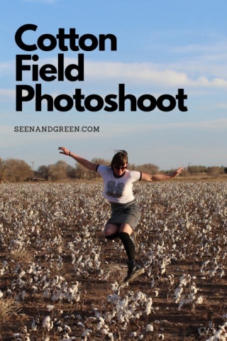 Cotton Field Photoshoot