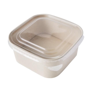 Are Paper Food Bowls Eco-Friendly And Sustainable?