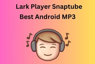 Lark Player Snaptube: The Ultimate Media Combo For Your Entertainment Needs