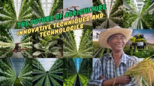 The Future Of Agriculture: Innovative Techniques And Technologies