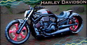 [50+] Best Harley Davidson Bike Images HD: