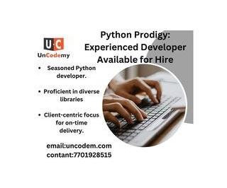 Python Prodigy: Experienced Developer Available For Hire