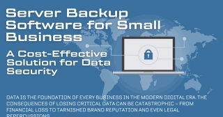 Server Backup Software For Small Business: A Cost-Effective Solution For Data Security