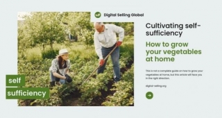 Cultivating Self-sufficiency: How To Grow Your Vegetables At Home