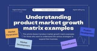 Understanding Product Market Growth Matrix Examples