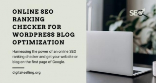 Online SEO Ranking Checker For WordPress Blog Optimization