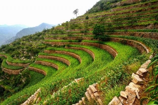 The Beauty And Power Of Terrace Farming To Boost Crop Yield By 300%