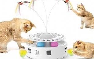 Cat Toys That Guarantee Hours of Playtime Fun!