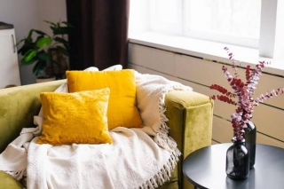 Things To Know Before You Buy Velvet Furniture