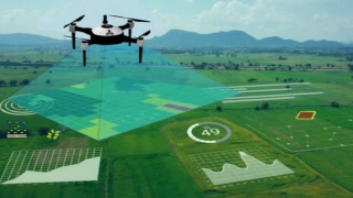 Drone Dynamics: Market Trends In The Drone Analytics Industry