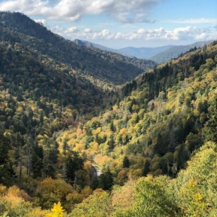 Discover The Beauty Of Great Smoky Mountains National Park