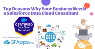 Top Reasons Why Your Business Needs A Salesforce Data Cloud Consultant