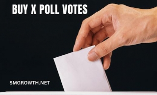 Buy X Poll Votes