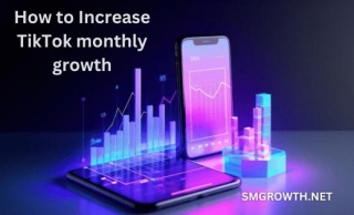 Buy Tiktok Monthly Growth