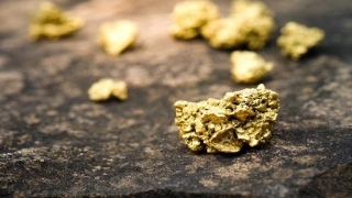 Capella Minerals Completes Divestment Of Savant Gold Project To Prospector Metals