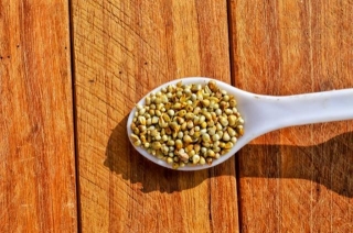 5 Boosting Millets To Supercharge Your Navratri Fasting Diet