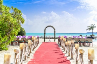 The Ultimate Guide To Planning Your Dream Destination Wedding: Everything You Need To Know