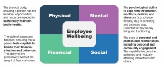 What Strategies Can Organizations Implement To Enhance Employee Well-being And Mental Health?
