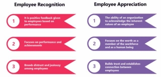 What Role Does Employee Recognition And Appreciation Play In Organizational Success?