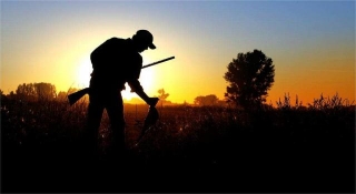 Ultimate Guide To Successful Evening Turkey Hunting
