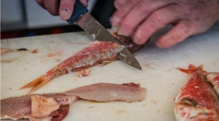 From Catch To Cook: Easy Guide To Fish Cleaning