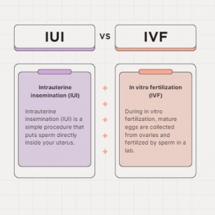 IUI Vs IVF: Which Fertility Treatment Is Better?